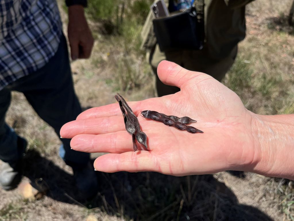 250303 CRRTrialFeildDay 3