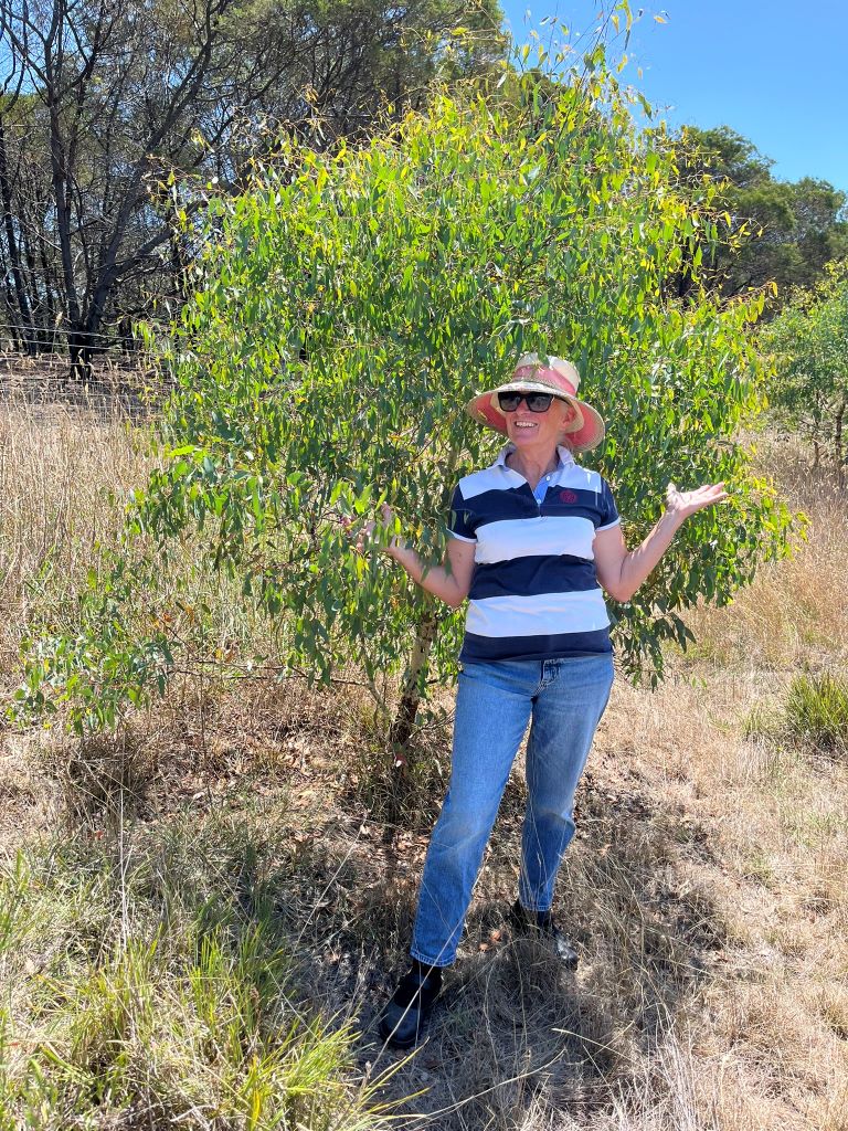 250303 CRRTrialFeildDay 5