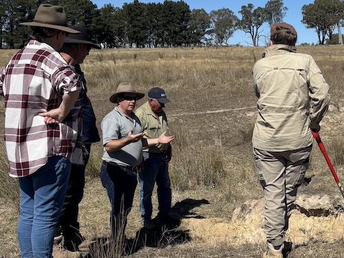 250411 BBLG Eroison 1