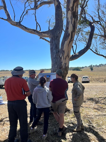 250411 BBLG Eroison 21