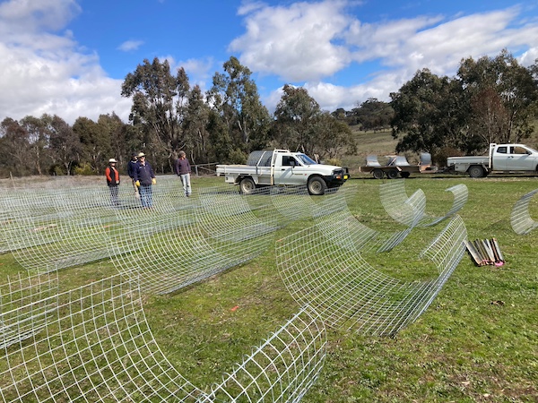 250816 PaddockTreeGuardDay