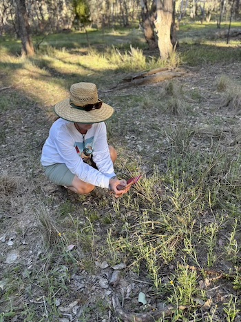 251016 BBLG Bookham Cemetry 3526