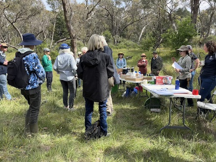 251117 BelowOurKnees NativeGrassland 4247 2