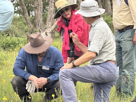251117 BelowOurKnees NativeGrassland 4264