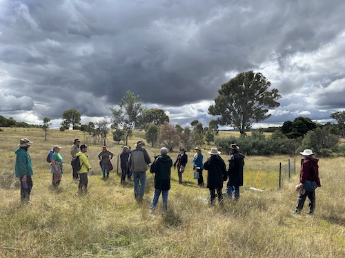 7Apr2024Restoration 7