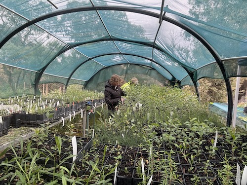 BBLG Nursery Morning Tea 260222 5651