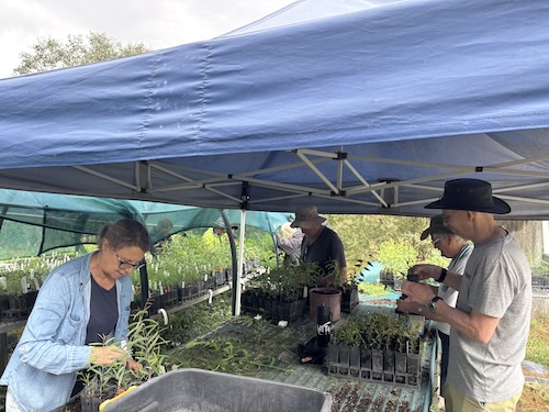 BBLG Nursery Morning Tea 260222 5656