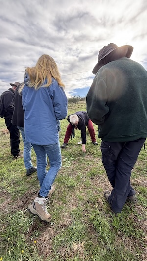 Below Knees Grasslands 260328 6143B