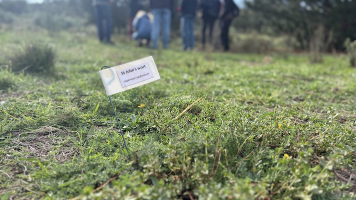 Below Knees Grasslands 260328 6148E