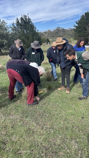 Below Knees Grasslands 260328 6151A