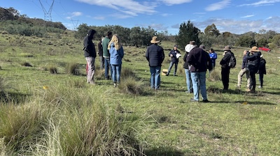 Below Knees Grasslands 260328 6170