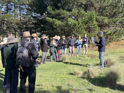 Below Knees Grasslands 260328 6172J