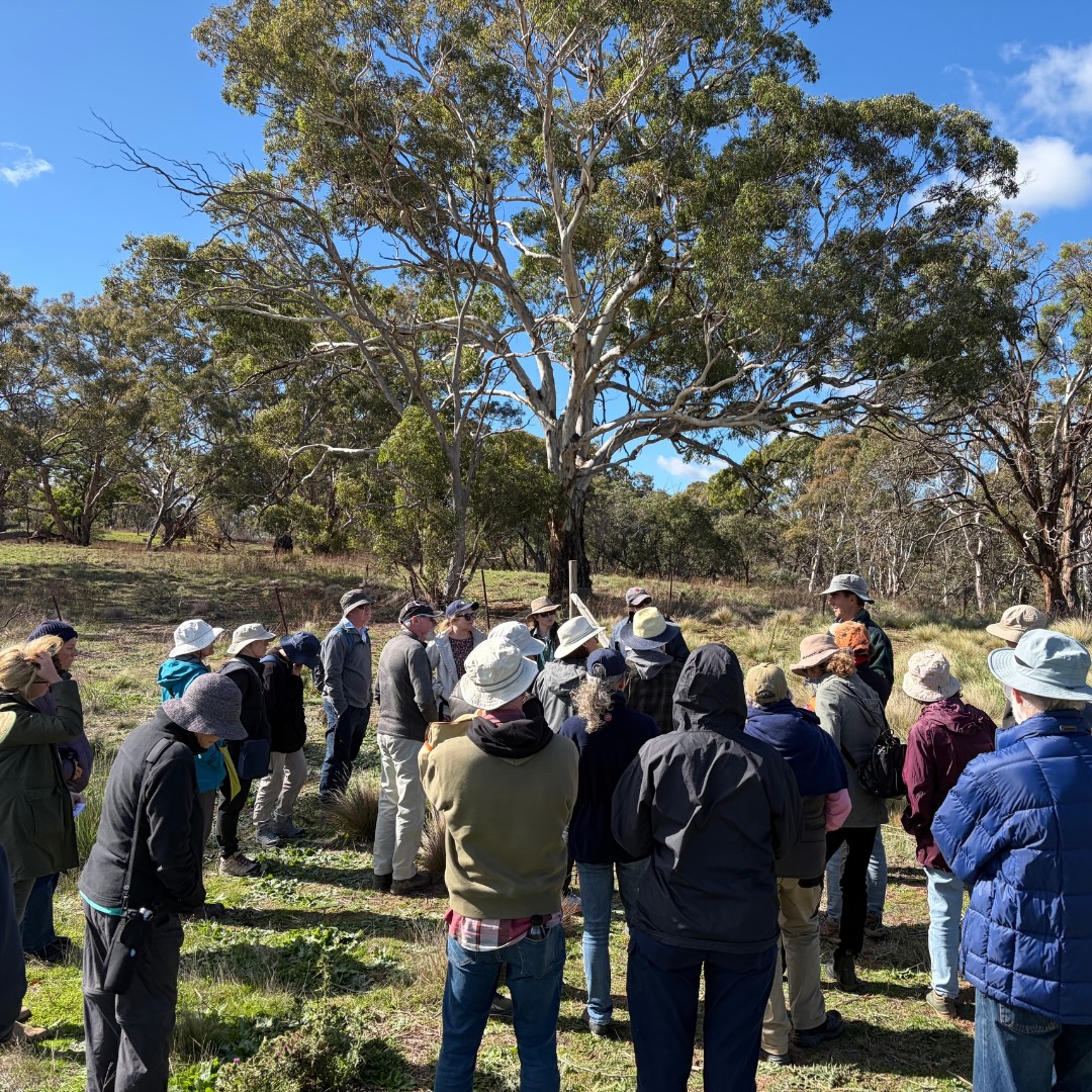 From the Ground Up: The Final Below Our Knees Event Highlights the Power of Community Action for Native Grasslands & Weed Management