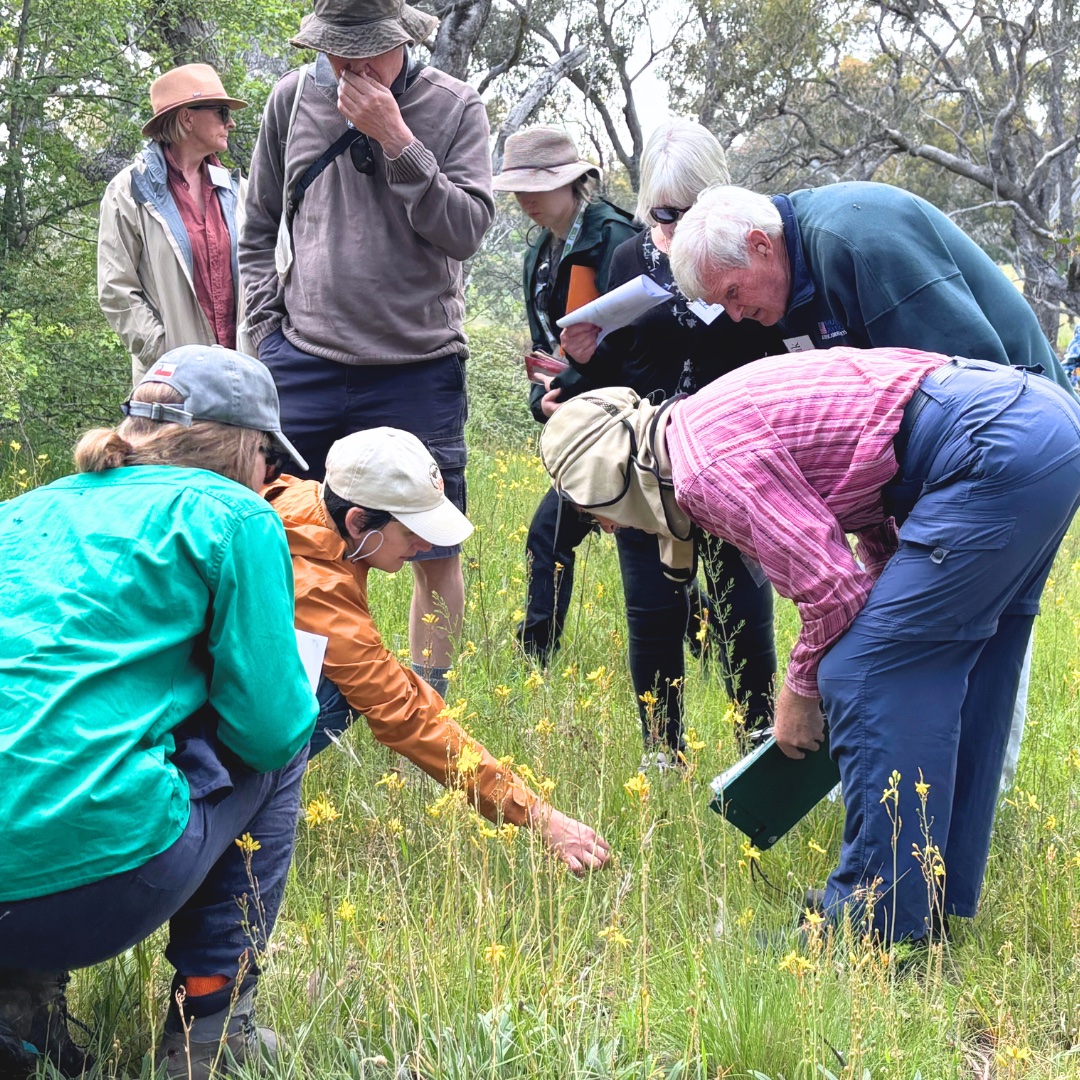 Below Your Knees: Exploring Our Native Grasslands