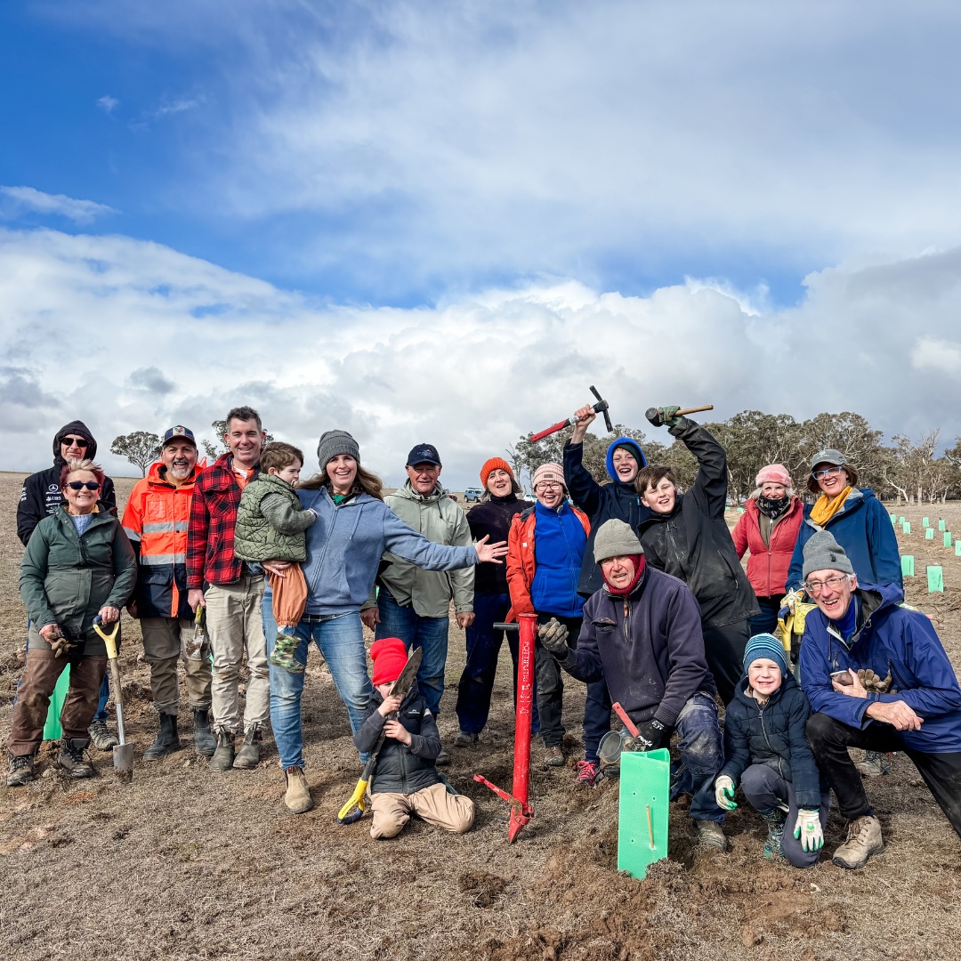Planting Connections at Billabong: Volunteers Bring Habitat Vision to Life
