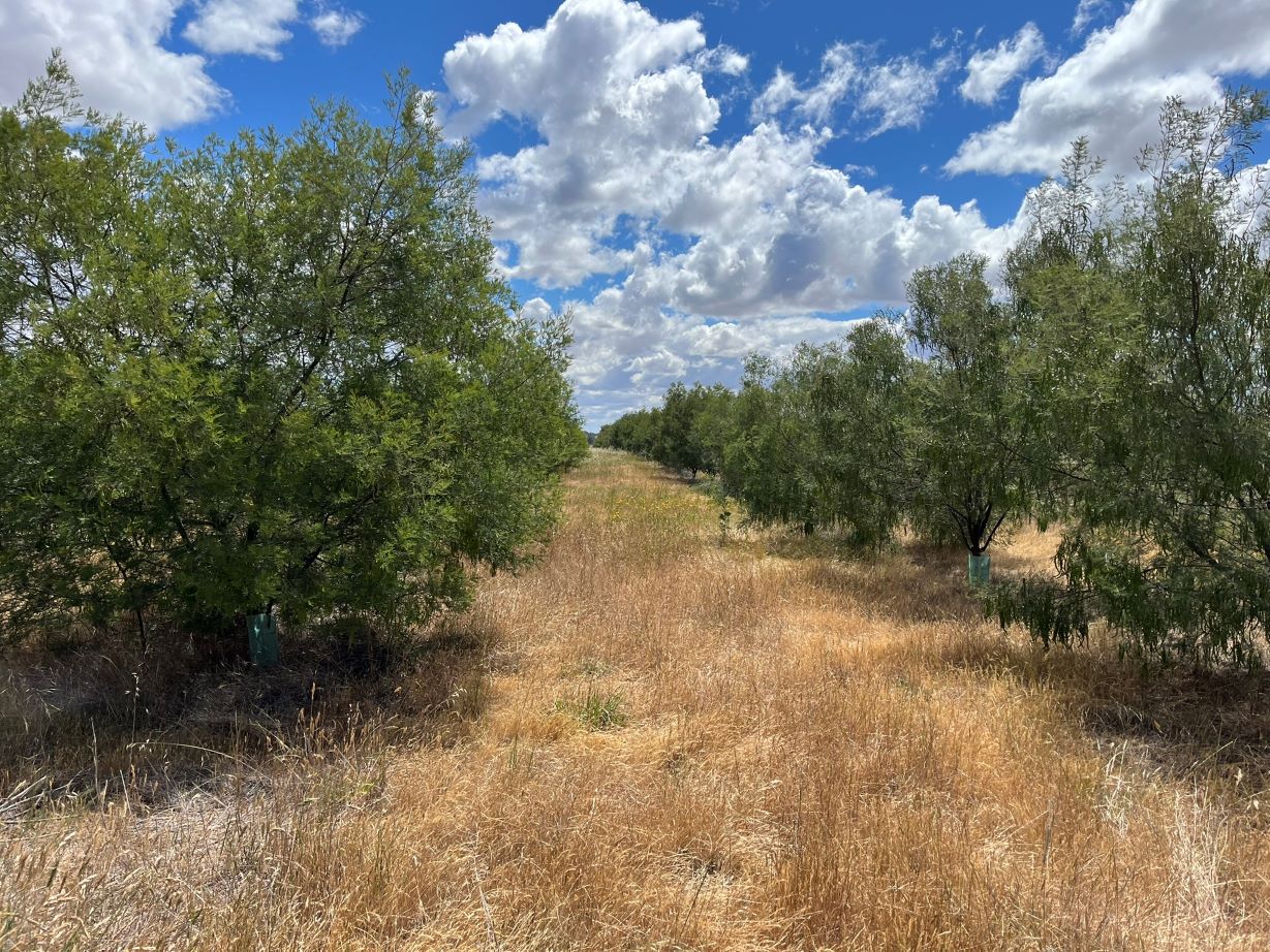 Blog CRROutAbout SPA