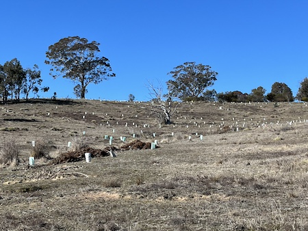 Blog Monitoring2025 A