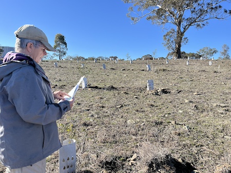 Blog Monitoring2025 B