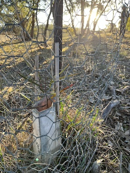 Blog Monitoring2025 D