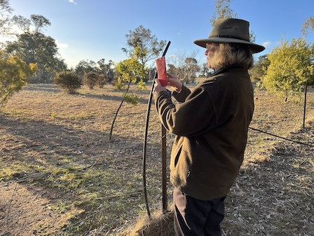 Blog Monitoring2025 E