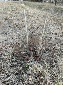 Blog Monitoring2025 G