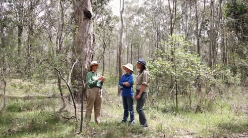 CRR Video Bot Gdns smaller