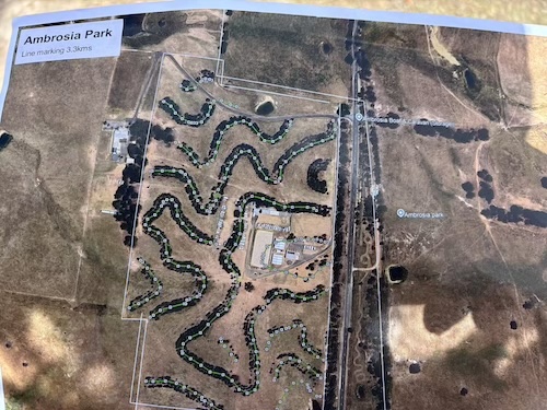 DirectSeeding 260220 5596