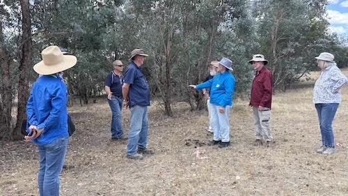 DirectSeeding 260220 5602