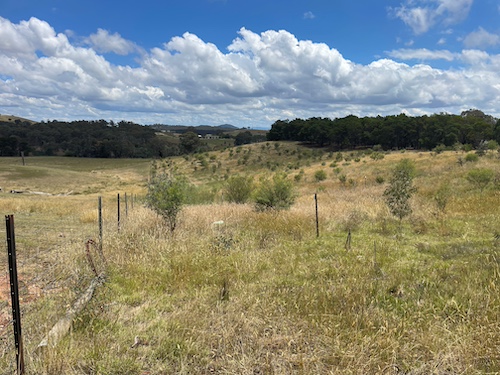 PlantingForOurFuture 4