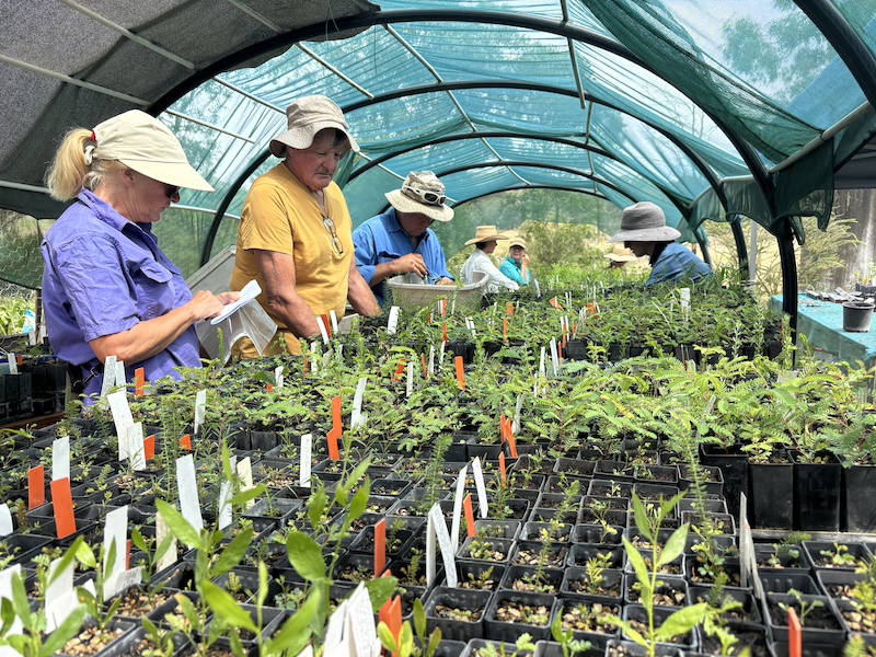 PlantingForTheFuture1