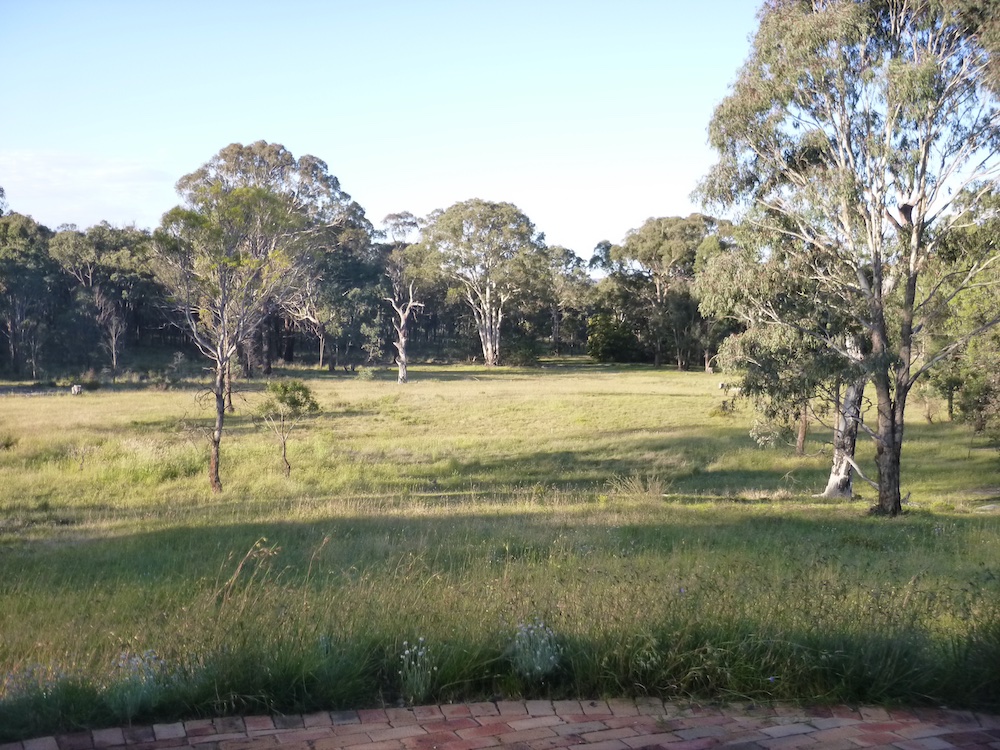 Sue Gang Gang Nov 2015 copy