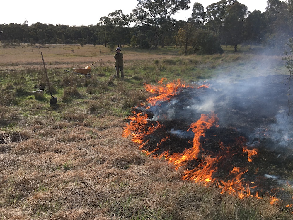 Sue Gang Gang burning 3 copy