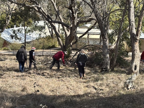 SuttonWorkingBee 250810 2