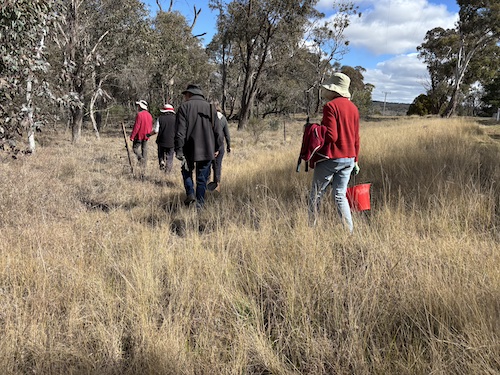 SuttonWorkingBee 250810 3