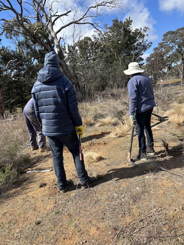 SuttonWorkingBee 250810 4