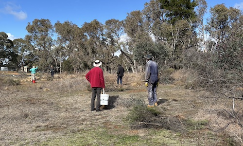 SuttonWorkingBee 250810 6