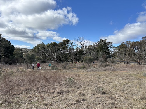 SuttonWorkingBee 250810 8