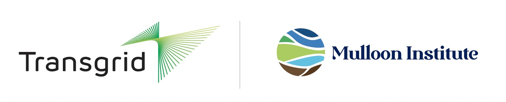 Transgrid Mulloon Logo
