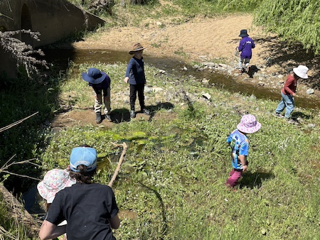 YLG Childrens Frogwatch 251019 3707