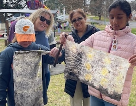 YLG Science Week IMG 5577