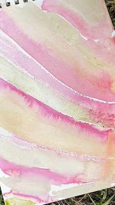 YLG Science Week IMG 5596