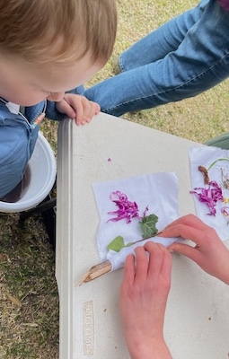 YLG Science Week IMG 5612