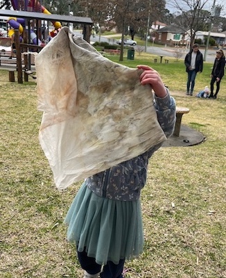 YLG Science Week IMG 5617