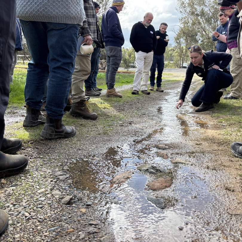 Water First: Exploring Landscape Rehydration at Bookham